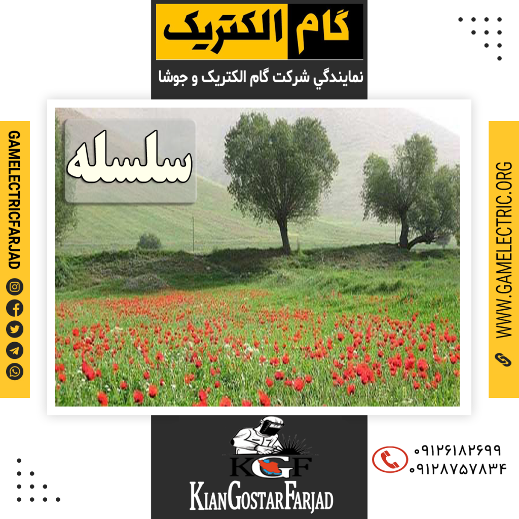 نمايندگي گام الکتريک سلسله نمايندگي جوشا سلسله